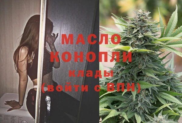 дживик Тында